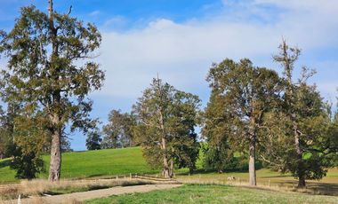 Parcelas RioNegro Osorno, Luz Soterrada AguaPotable