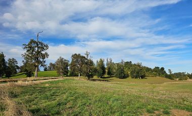 Parcelas RioNegro Osorno, Luz Soterrada AguaPotable