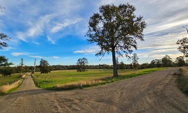Parcelas RioNegro Osorno, Luz Soterrada AguaPotable