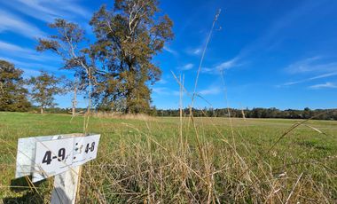 Parcelas RioNegro Osorno, Luz Soterrada AguaPotable