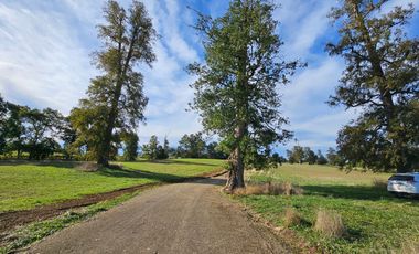 Parcelas RioNegro Osorno, Luz Soterrada AguaPotable