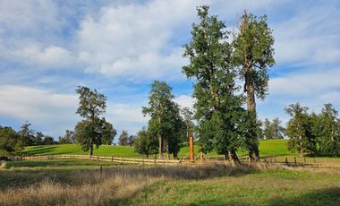 Parcelas RioNegro Osorno, Luz Soterrada AguaPotable