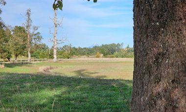Parcelas RioNegro Osorno, Luz Soterrada AguaPotable