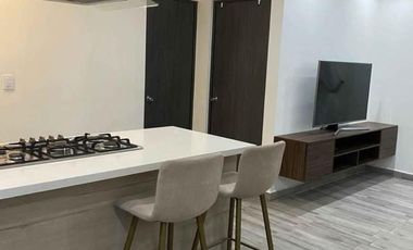 Departamento en Fraccionamiento	Living San Nicolás