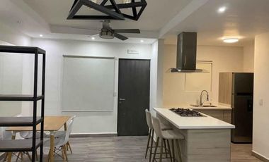 Departamento en Fraccionamiento	Living San Nicolás