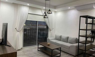 Departamento en Fraccionamiento	Living San Nicolás