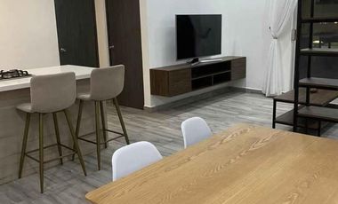 Departamento en Fraccionamiento	Living San Nicolás