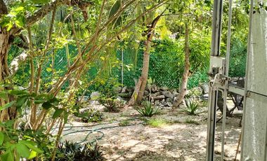 Tesoco Mpio. Valladolid Yucatán