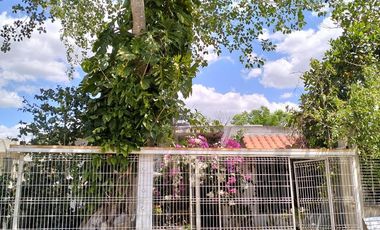 Tesoco Mpio. Valladolid Yucatán