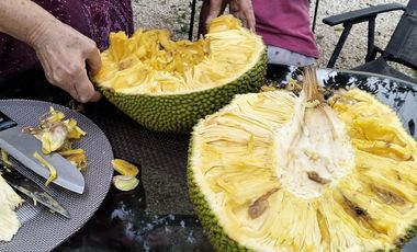 Tesoco Mpio. Valladolid Yucatán