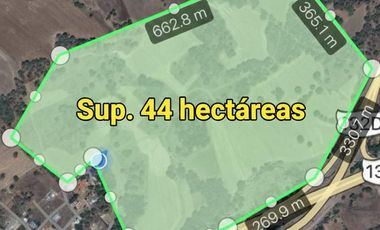 TERRENO  EN VENTA TULANCINGO HIDALGO   SUP. 44 HECTAREAS ( Escriturado )