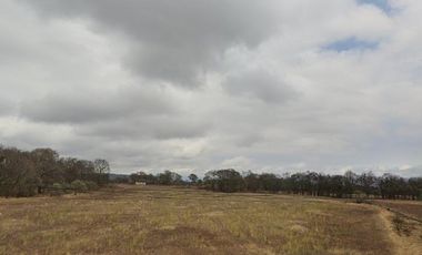 TERRENO  EN VENTA TULANCINGO HIDALGO   SUP. 44 HECTAREAS ( Escriturado )