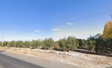 Venta amplio Lote Ruta 60 Rodeo del Medio Maipú