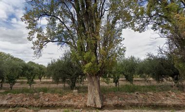 Venta amplio Lote Ruta 60 Rodeo del Medio Maipú