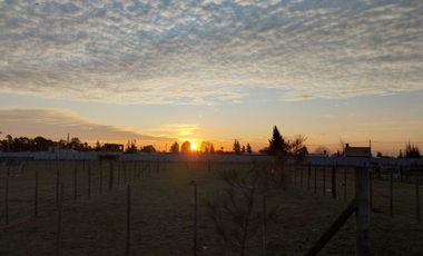 Lote imperdible con mejoras Domselaar Chico VENTA