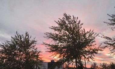 Lote imperdible con mejoras Domselaar Chico VENTA