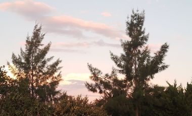 Lote imperdible con mejoras Domselaar Chico VENTA