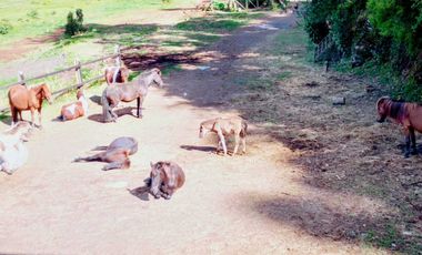 Parcela en venta en VALDIVIA