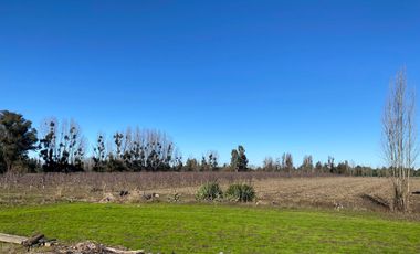 Casa en venta en LINARES