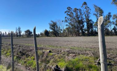 Casa en venta en LINARES