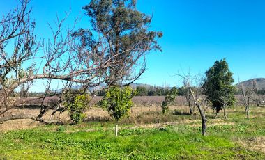 Casa en venta en LINARES