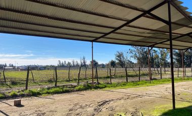Casa en venta en LINARES