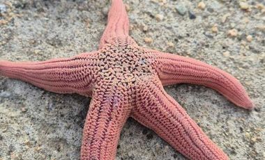 Parcela en venta en PAREDONES