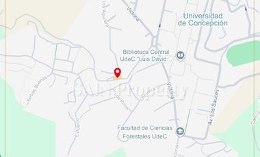 Parcela en venta en CONCEPCIÓN