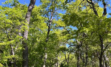 Parcela en venta en CURICÓ
