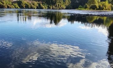 Parcela en Venta en Río bueno