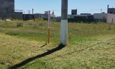 VENTA TERRENO 300 M2, JARDINES DE ESTHER