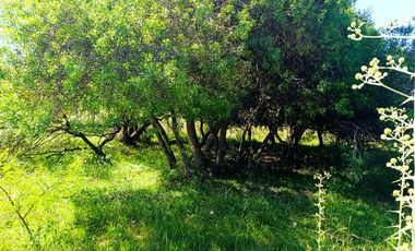 Terreno en Puerto Yerua