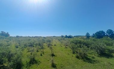 Terreno en Puerto Yerua