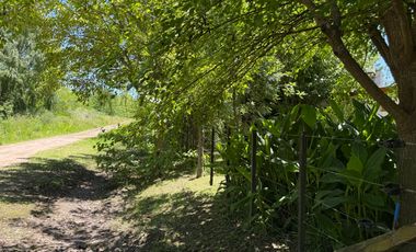 Se vende casa quinta en Bahía de Los Lobos, donde la naturaleza abraza cada amanecer!