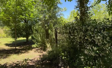 Se vende casa quinta en Bahía de Los Lobos, donde la naturaleza abraza cada amanecer!