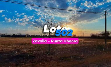 Terreno en  Punta Chacra Zavalla