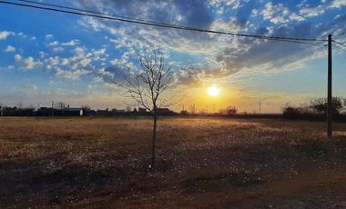 Terreno en  Punta Chacra Zavalla