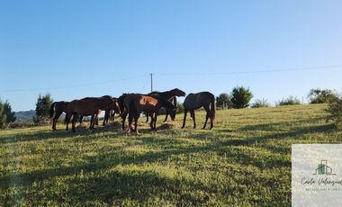 Parcela en venta de 5000m2 ubicado en Florida