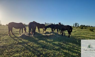 Parcela en venta de 5000m2 ubicado en Florida