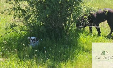 Parcela en venta de 5000m2 ubicado en Florida