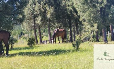 Parcela en venta de 5000m2 ubicado en Florida