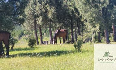 Parcela en venta de 5000m2 ubicado en Florida