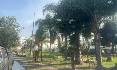 Terreno en venta en Santa Anita, Tlajomulco de Zúñiga, Jalisco