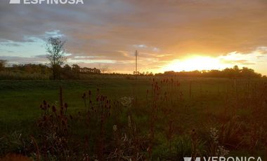 Quinta - 20 De Junio