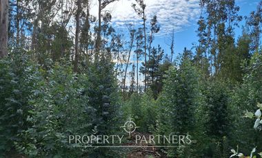 Amplio terreno en Pedro de Valdivia Sur