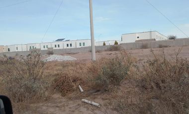 TERRENO EN VENTA EN EJIDO SAN LUIS TORREON, COAHUILA