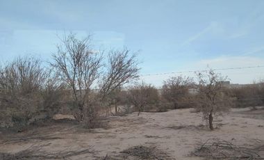 TERRENO EN VENTA EN EJIDO SAN LUIS TORREON, COAHUILA