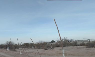 TERRENO EN VENTA EN EJIDO SAN LUIS TORREON, COAHUILA