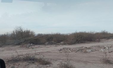 TERRENO EN VENTA EN EJIDO SAN LUIS TORREON, COAHUILA