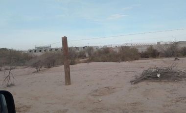 TERRENO EN VENTA EN EJIDO SAN LUIS TORREON, COAHUILA